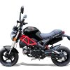 WK Colt 50 50cc Back