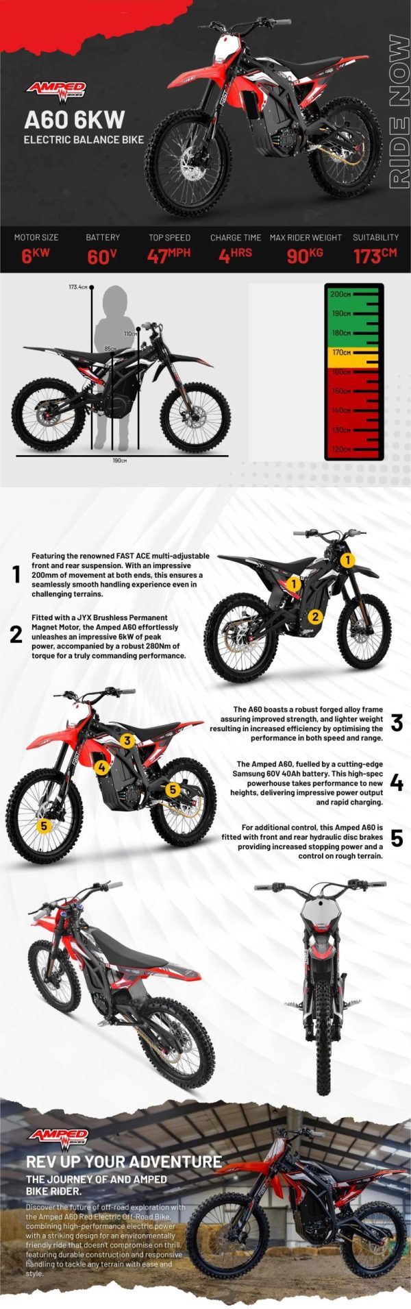 Amped AM60 - Image 20